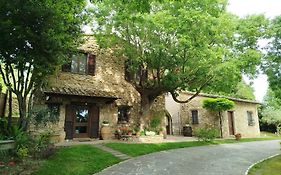 All'Ombra Di San Damiano