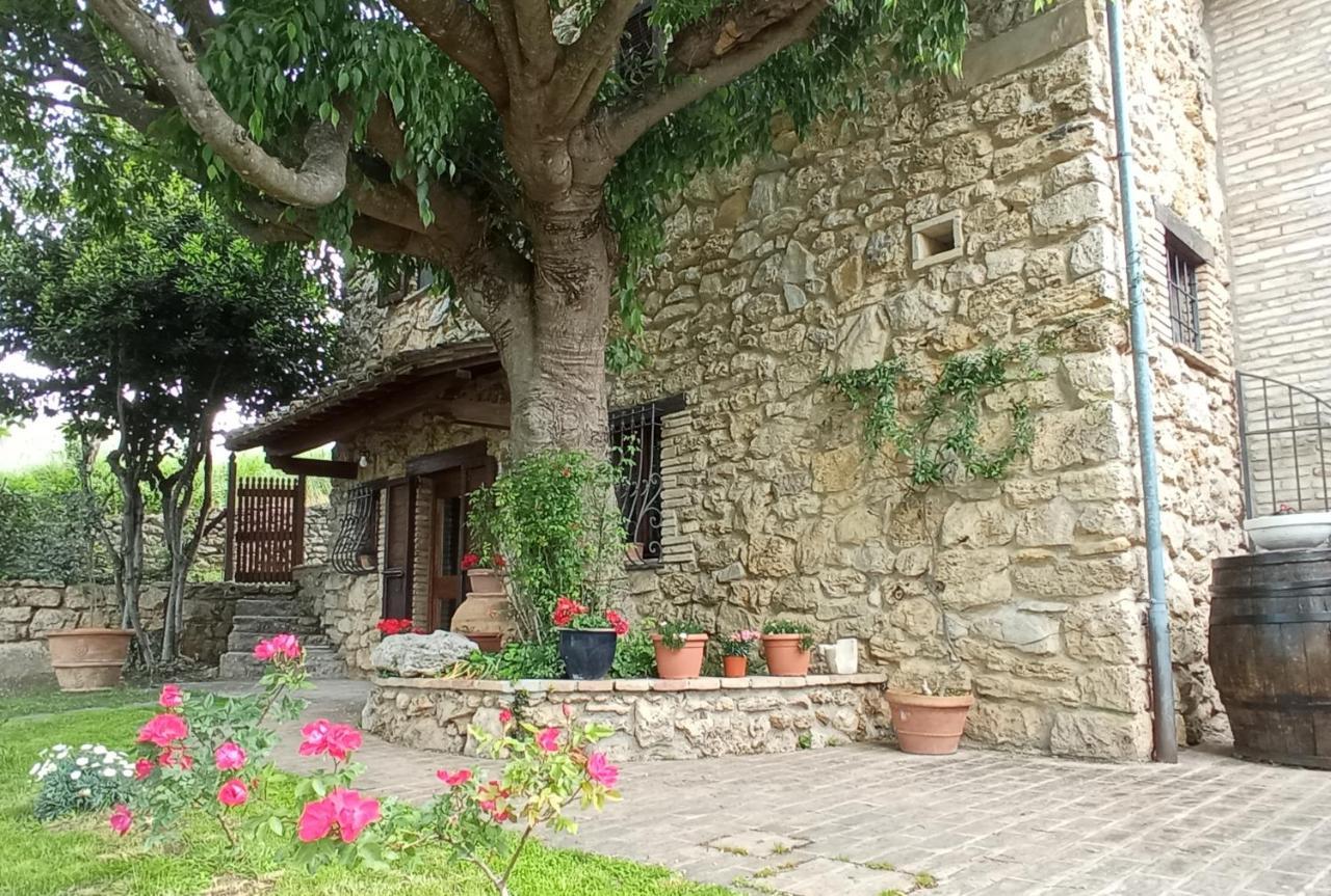 Hotel All'Ombra Di San Damiano - Assisi Exterior foto