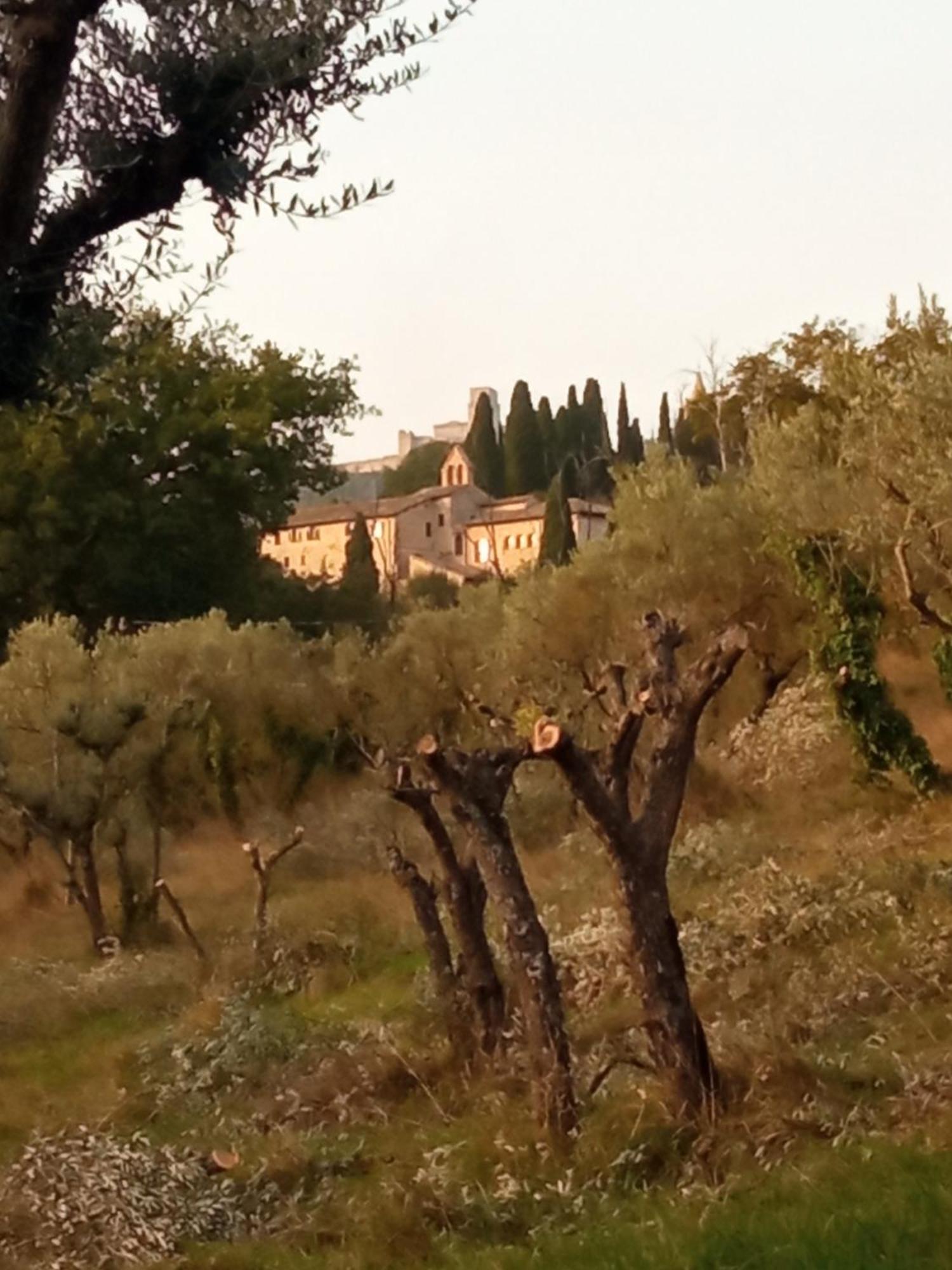 Hotel All'Ombra Di San Damiano - Assisi Exterior foto